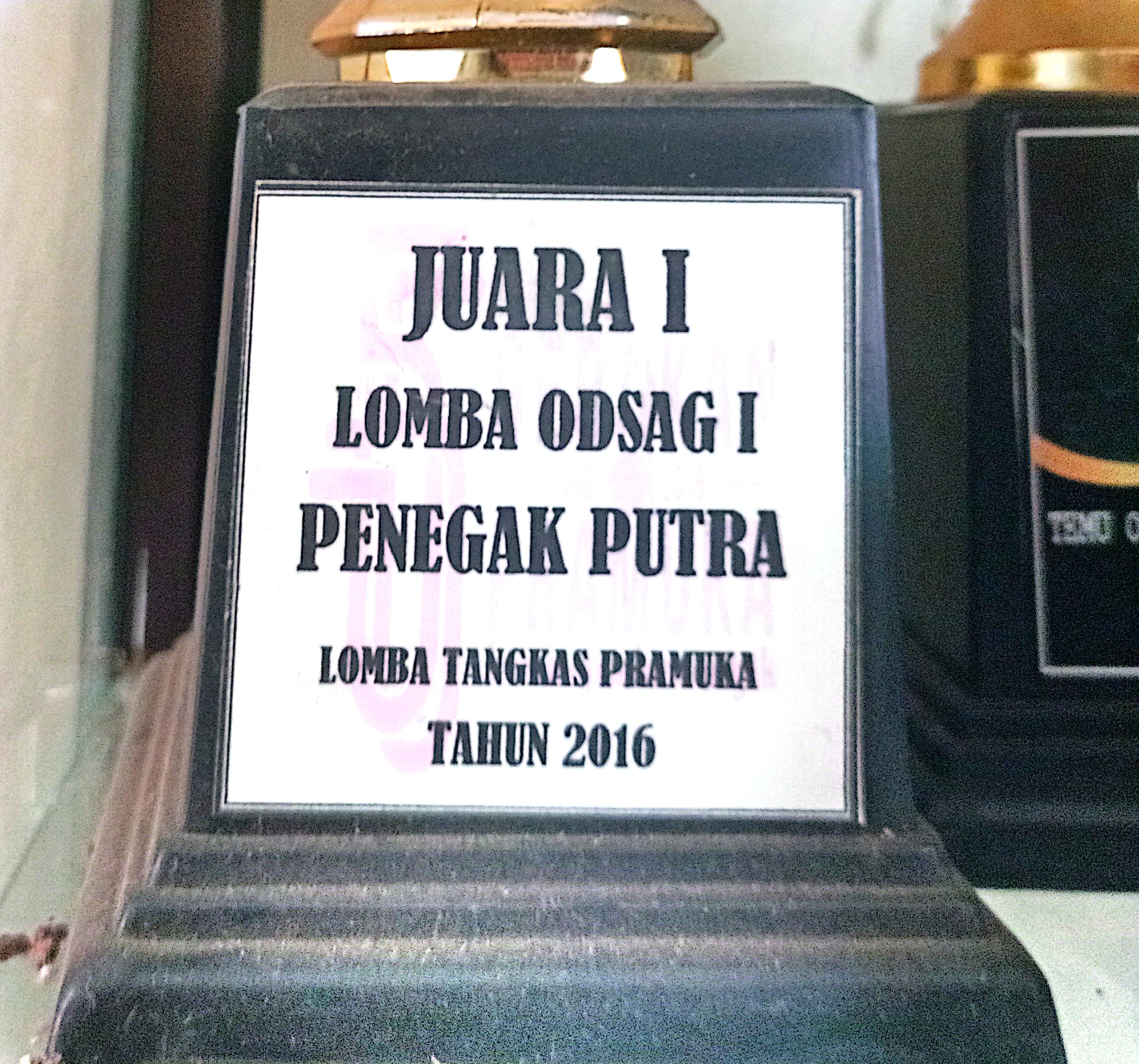 Juara 1 ODSAG 